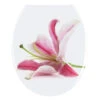 Wenko WC-Sitz „Orchid“, Antibakteriell 2 Wenko WC-Sitz „Orchid“, Antibakteriell -Wenko 202209 Wenko WC Sitz Orchid antibakteriell 22271100 01