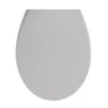 Wenko Premium WC-Sitz „Samos Concrete“, Grau, Antibakteriell, Mit Absenkautomatik -Wenko 211784 Wenko Premium WC Sitz Samos Concrete Grau antibakteriell 22402100 01