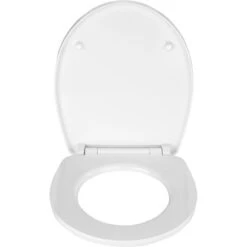 Wenko WC-Sitz Düne Duroplast Mit Absenkautomatik -Wenko 6552855 1068 21751100 1