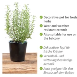 WENKO Kräutertopf »Kuro«, (Set, 2 St.), Keramik -Wenko d3133e44490b0907ca85a6ca84ff9c8a